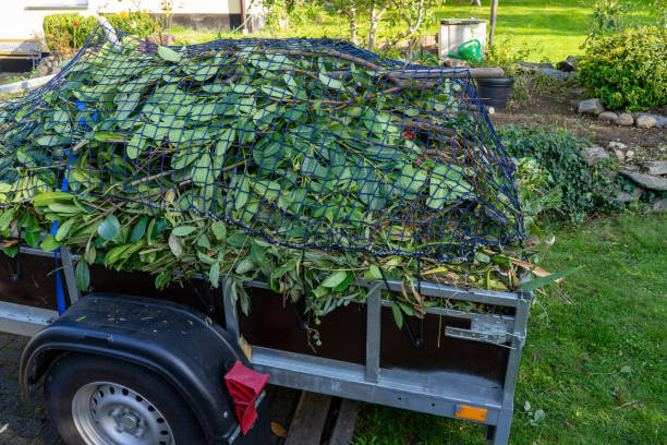 Best Shed Removal  in Dodson Branch, TN